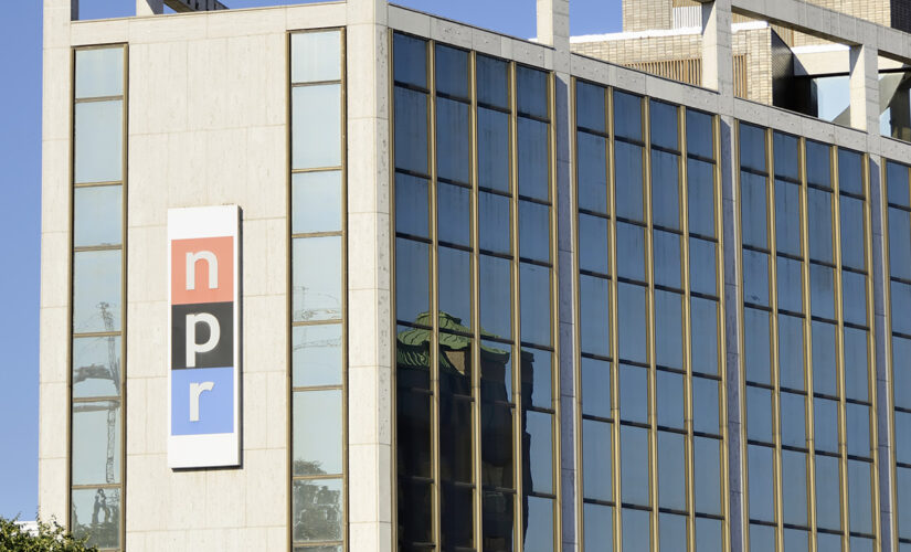 NPR correspondent scorched over tweet suggesting journalists in America require bulletproof vests