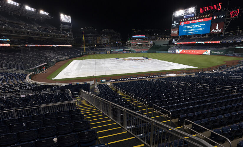 Streaker prances in rain at Nationals Park, attempts slick way to evade security