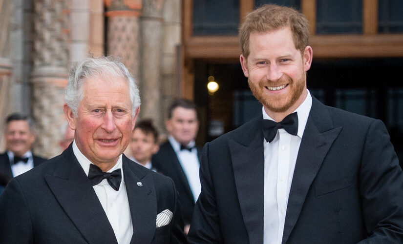 Prince Harry says he was put through ‘pain and suffering’ by his father Prince Charles