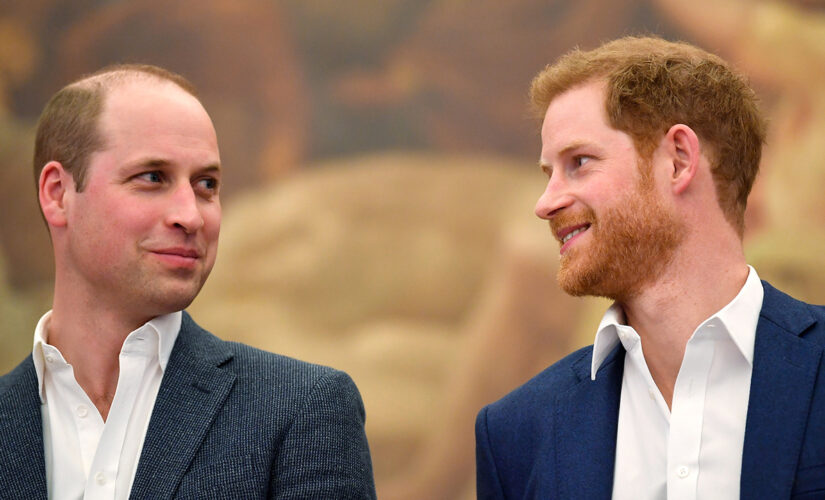 Prince Harry will ‘absolutely’ attend Princess Diana tribute with Prince William: report