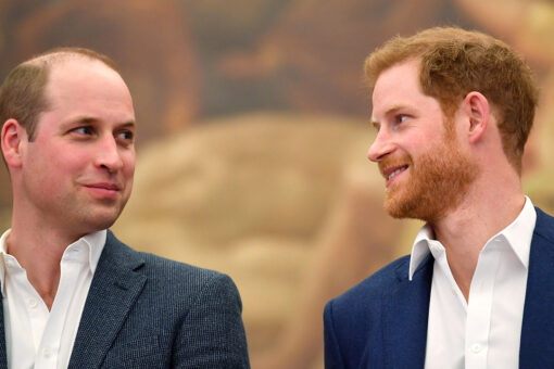 Prince Harry will ‘absolutely’ attend Princess Diana tribute with Prince William: report