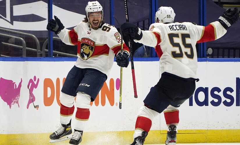 Lomberg scores in OT to lift Panthers past Lightning, 6-5
