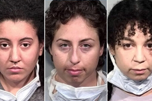 California suspects arrested, released for pig’s blood smeared on Derek Chauvin defense witness’ former home