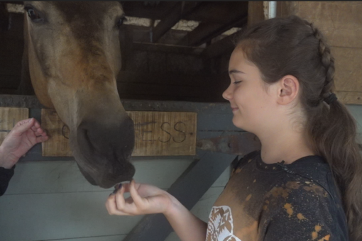 Summer camps making comeback after coronavirus-era shutdowns