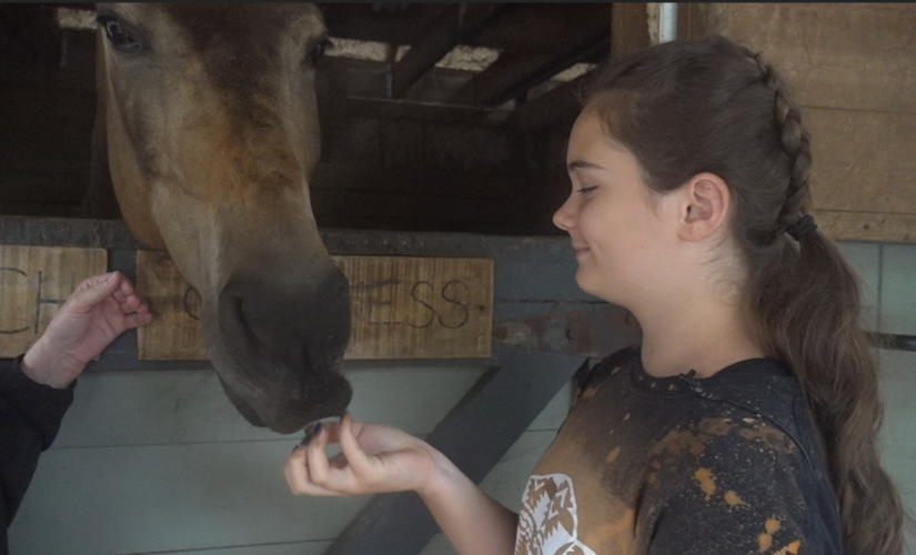 Summer camps making comeback after coronavirus-era shutdowns