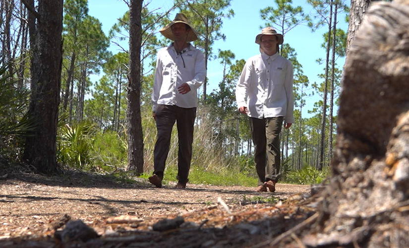 Navy veteran walking hundreds of miles, raising awareness for veteran mental health