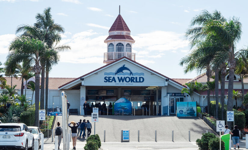 Sea World penguin plush toy blamed for killing Australian boy in ‘severe’ accident
