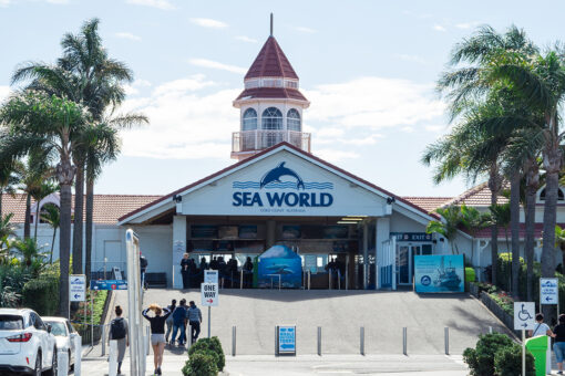 Sea World penguin plush toy blamed for killing Australian boy in ‘severe’ accident