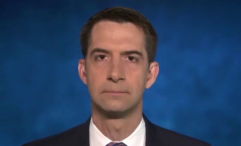 Sen. Cotton: Biden has been ‘rolling over for aggressors around the world’