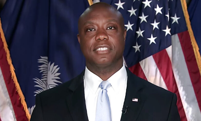 Texas Dems refuse resignation of official who called Scott an ‘oreo’: report