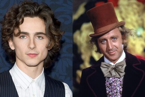 Timothée Chalamet to play young Willy Wonka in Warner Bros. movie