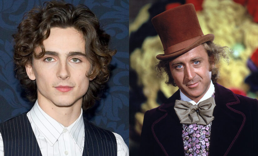 Timothée Chalamet to play young Willy Wonka in Warner Bros. movie