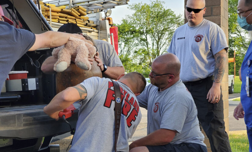 Tennessee toddler stuck in antique barrel is freed by medical staff using power saws