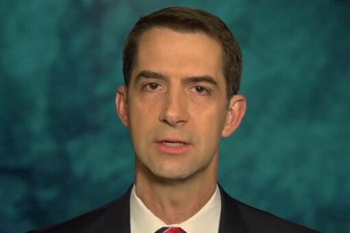 Tom Cotton on media’s sudden warming to lab-leak hypothesis: ‘I’m not looking for any awards’