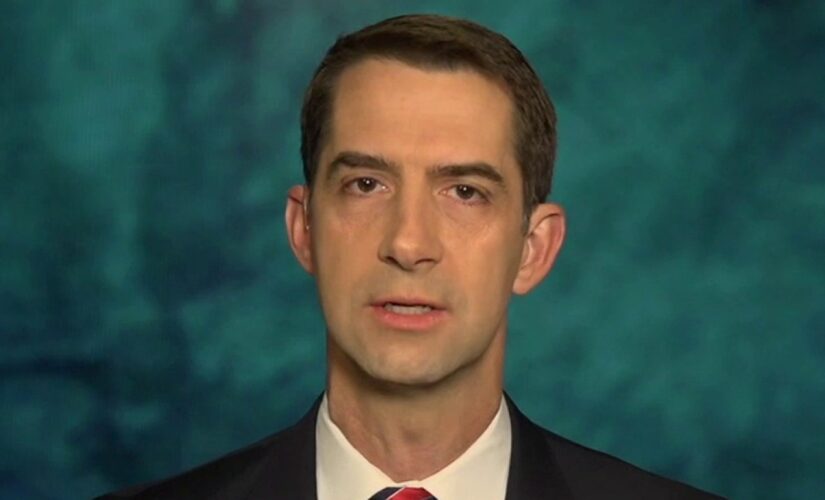 Tom Cotton on media’s sudden warming to lab-leak hypothesis: ‘I’m not looking for any awards’
