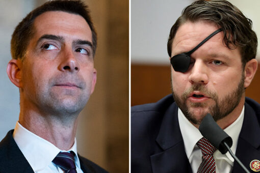 Reps. Crenshaw, Cotton launch whistleblower effort against military ‘woke ideology’