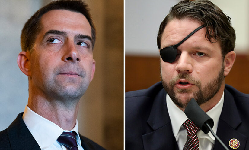 Reps. Crenshaw, Cotton launch whistleblower effort against military ‘woke ideology’