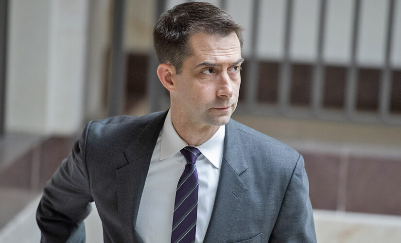 Tom Cotton slams ‘reporters and activists in white lab coats’ for dismissing lab-leak theory