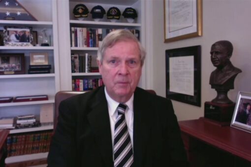 Biden Cabinet secretary defends race-based COVID aid, citing historical discrimination