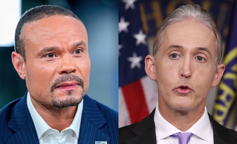 Trey Gowdy, Dan Bongino to host new Fox News weekend shows
