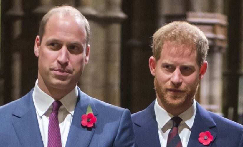 Prince William confused as to why brother Harry keeps ‘throwing his family under the bus’: report