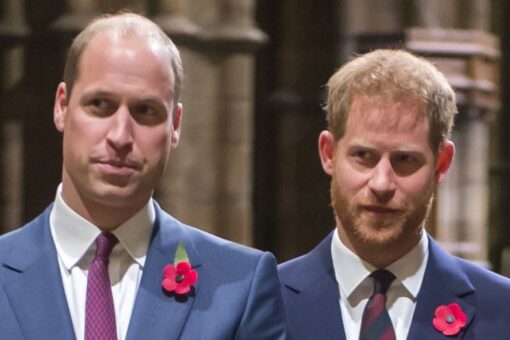 Prince William confused as to why brother Harry keeps ‘throwing his family under the bus’: report