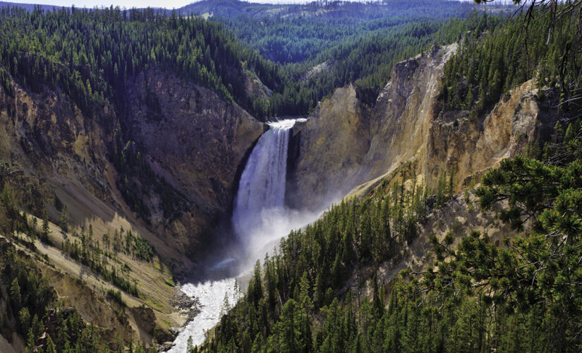 Memorial Day 2021: Gold Star families, veterans get free National Park access