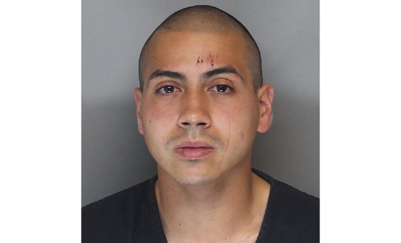 Army trainee who hijacked bus tried to escape: police