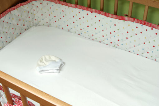 MIT professor who put crib in his office to support his grad student goes viral