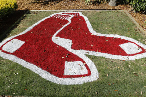 Fenway Park will open to 100% capacity May 29