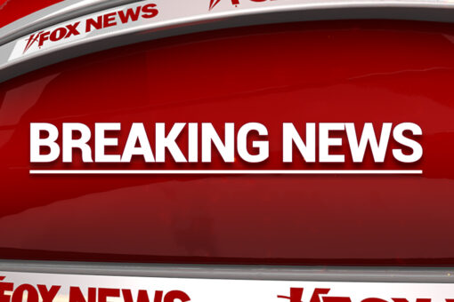 Four Alabama officers hurt after argument over dog ends in deadly shooting
