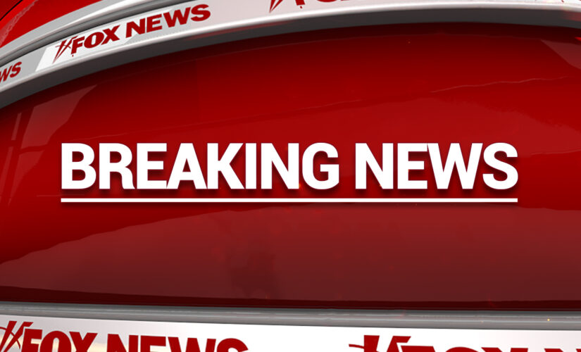 Four Alabama officers hurt after argument over dog ends in deadly shooting