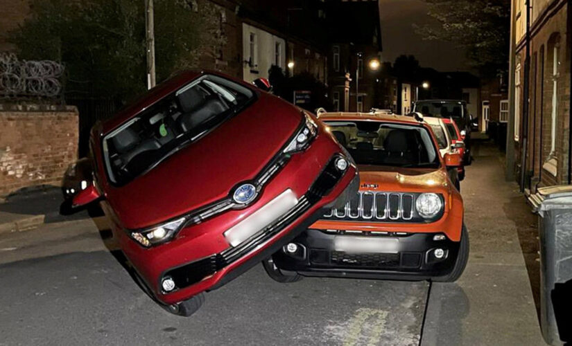 Car drives onto car to avoid cat