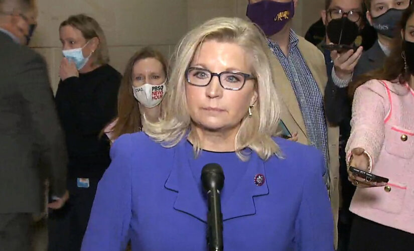 Deposed Cheney fights back, but Liz-ism may be no match for Trumpism