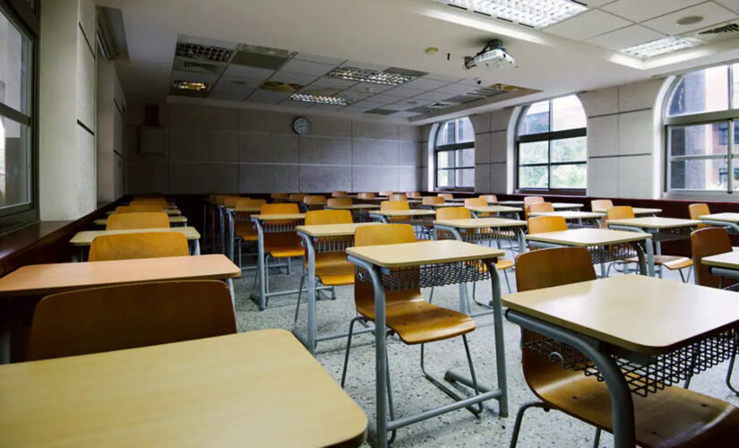 Former school board member slams critical race theory: Fairfax, local school boards need parental supervision