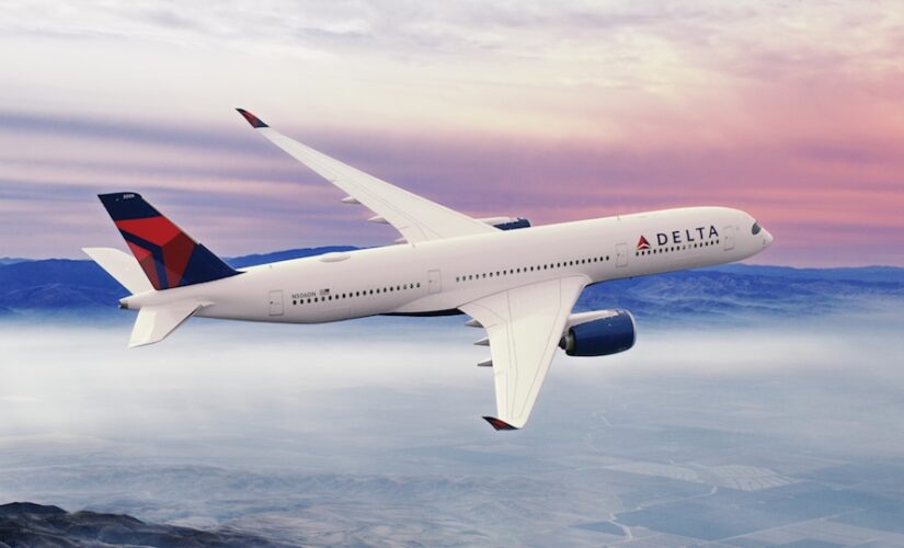 Delta flight returns to Atlanta after birds hit windshield