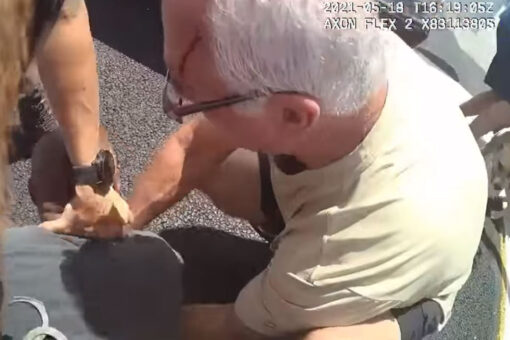 Good Samaritans help Florida deputy under attack during traffic stop, video shows