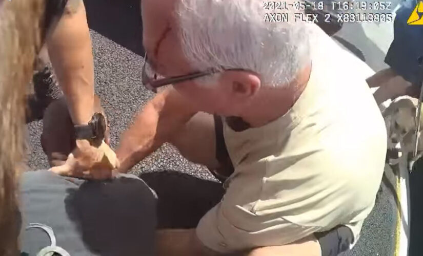 Good Samaritans help Florida deputy under attack during traffic stop, video shows