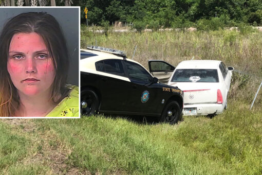 Florida woman, nearly naked, leads cops on high-speed chase in stolen car