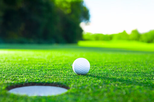 Businessman allegedly shot, killed dog on golf course