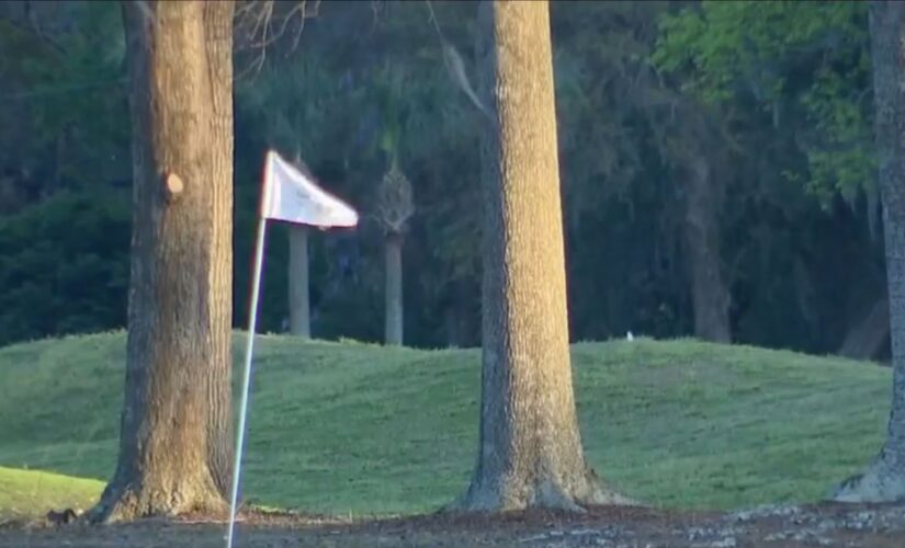 Jimmy Hoffa buried at Georgia golf course once popular with Mafia bosses, defense lawyer claims