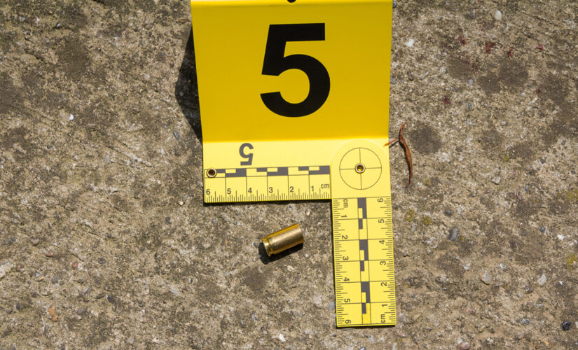 Off-duty NYPD officer suffers graze wound to head during mistaken gang shooting at her home: sources