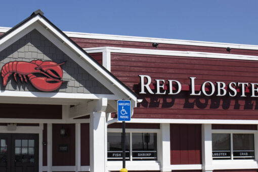 Rare lobster saved from being dinner at Red Lobster: ‘One in every 30 million’