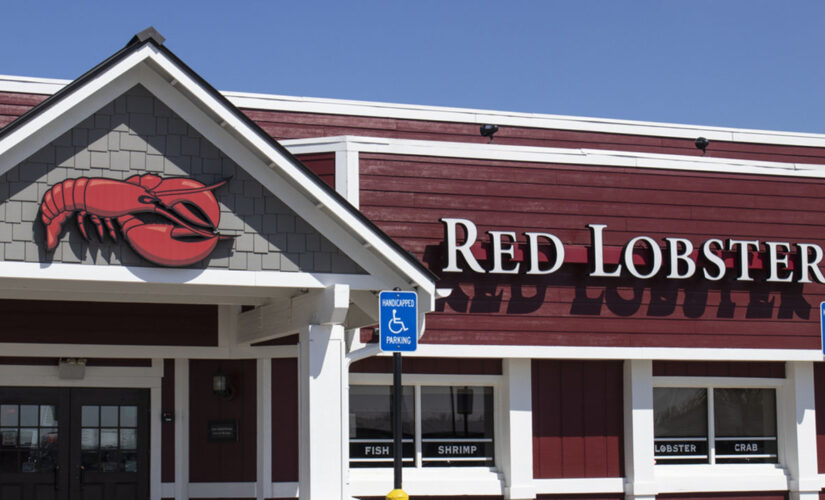 Rare lobster saved from being dinner at Red Lobster: ‘One in every 30 million’