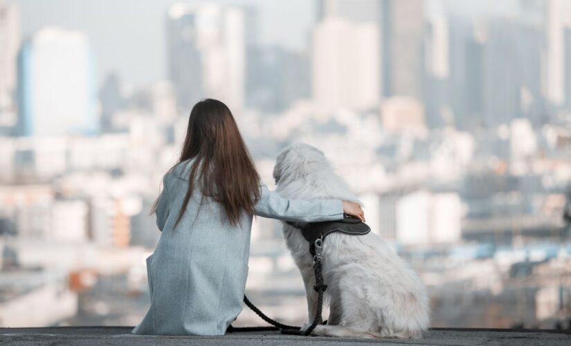 15 dog-friendly cities that are getting more popular, survey says