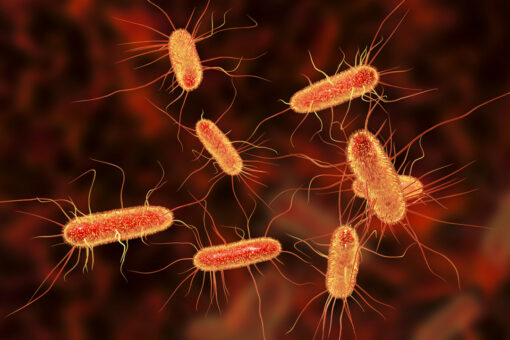 E.coli outbreak in Washington state may be linked to fresh produce, officials say