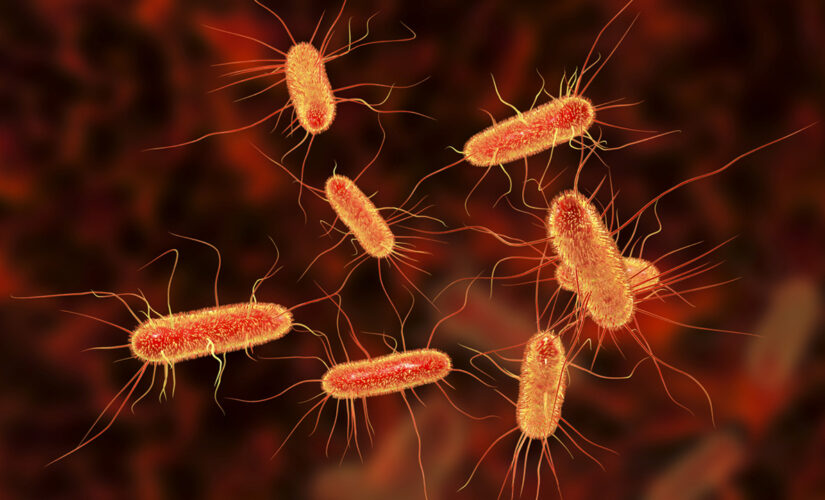E.coli outbreak in Washington state may be linked to fresh produce, officials say