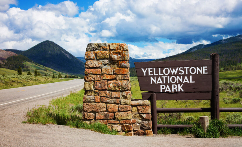 Yellowstone, Grand Teton national parks to resume bus operations