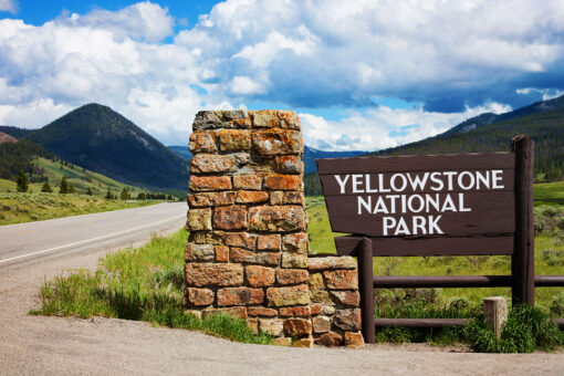 Yellowstone, Grand Teton national parks to resume bus operations