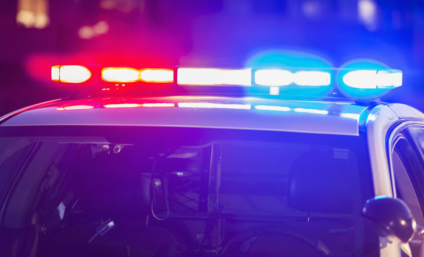 New Jersey house party draws state police over reports of gunfire: report